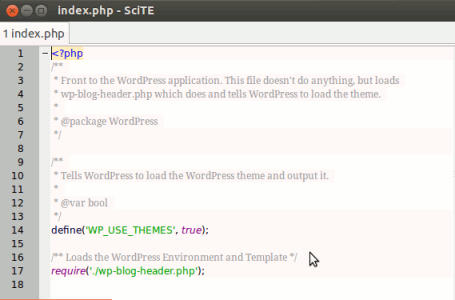Geöffnete PHP Datei im SciTE Texteditor
