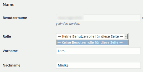 WordPress Benutzer Einzelansicht